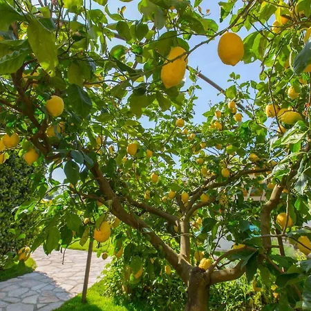 - Ravenna - Cavaliere