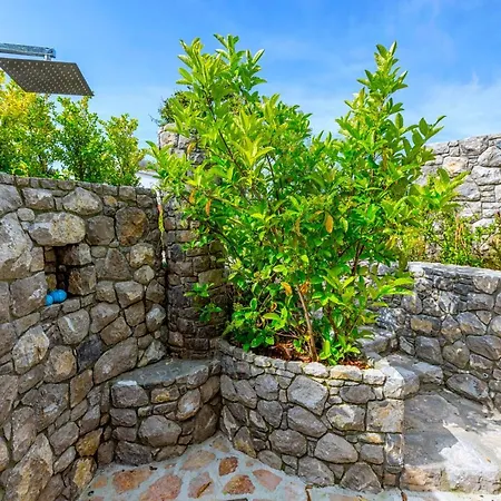 - Ravenna - Cavaliere *