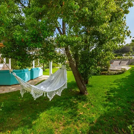 - Ravenna - Cavaliere